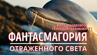 Фантасмагория отраженного света. Фильм-видеоэссе Геннадия Тараненко. Голова дельфина с кпестом
