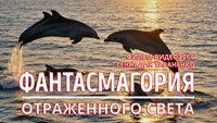 Фантасмагория отраженного света. Фильм-видеоэссе Геннадия Тараненко. Прыгающие дельфины